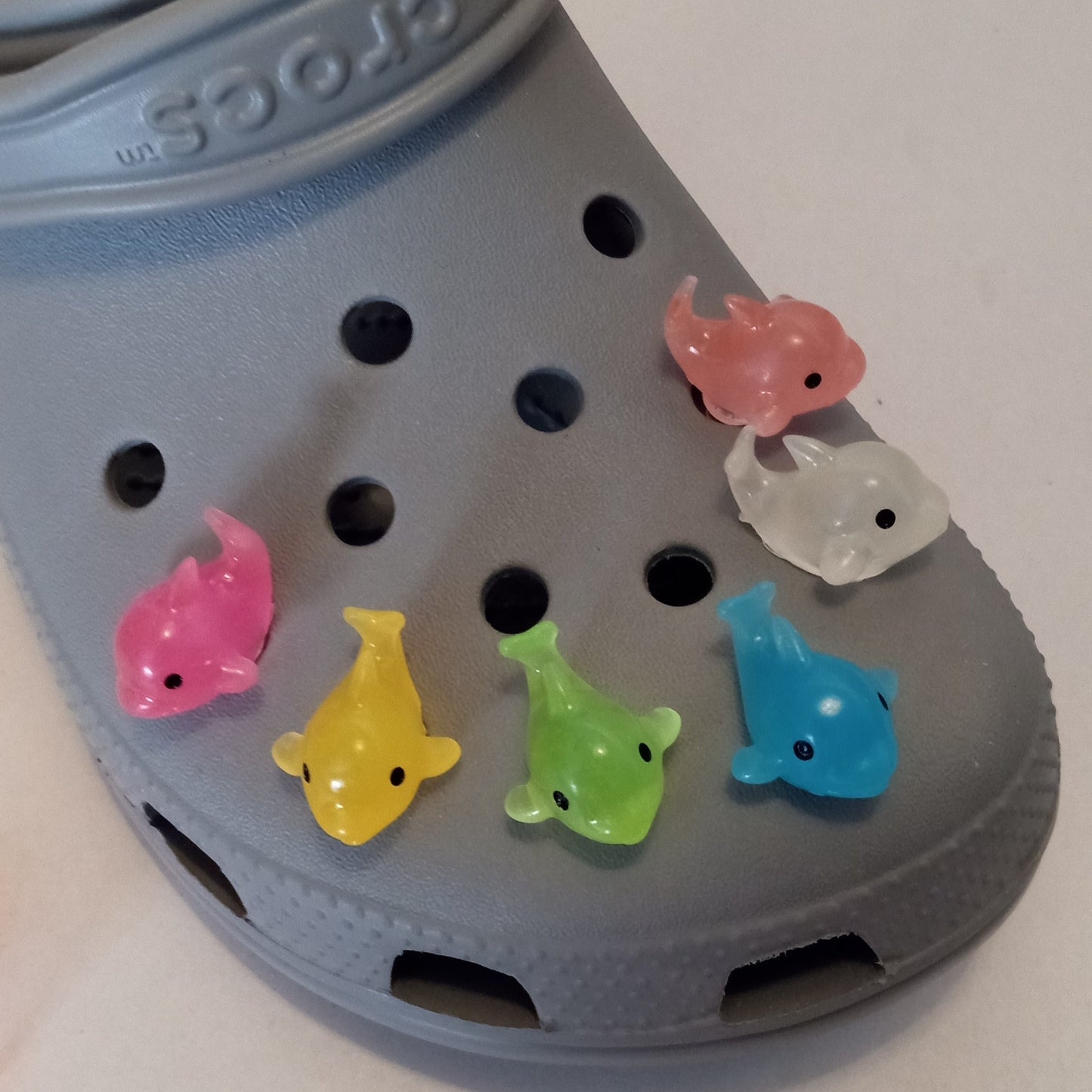 Dolphin Shoe Charm