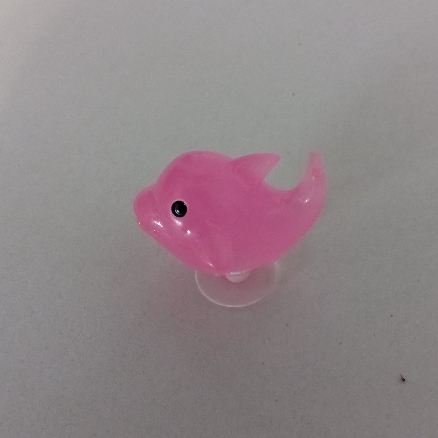 Dolphin Shoe Charm