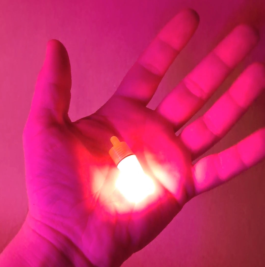 5 Pack LED Lights for Fishing Pole - Bite Alarm Light & Clip on Bells