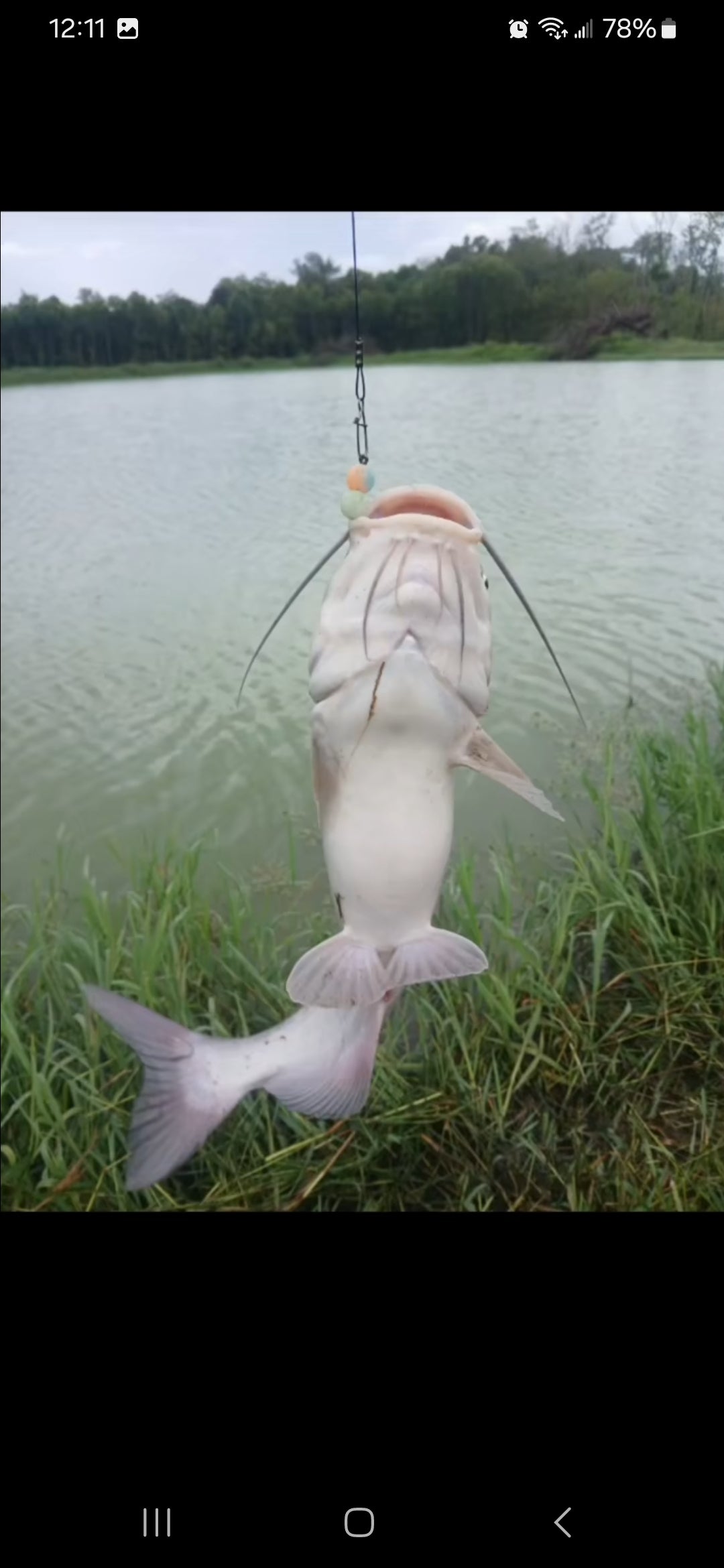 Monkey Balls! Lures - Texas Made Silicone Sinking Lures