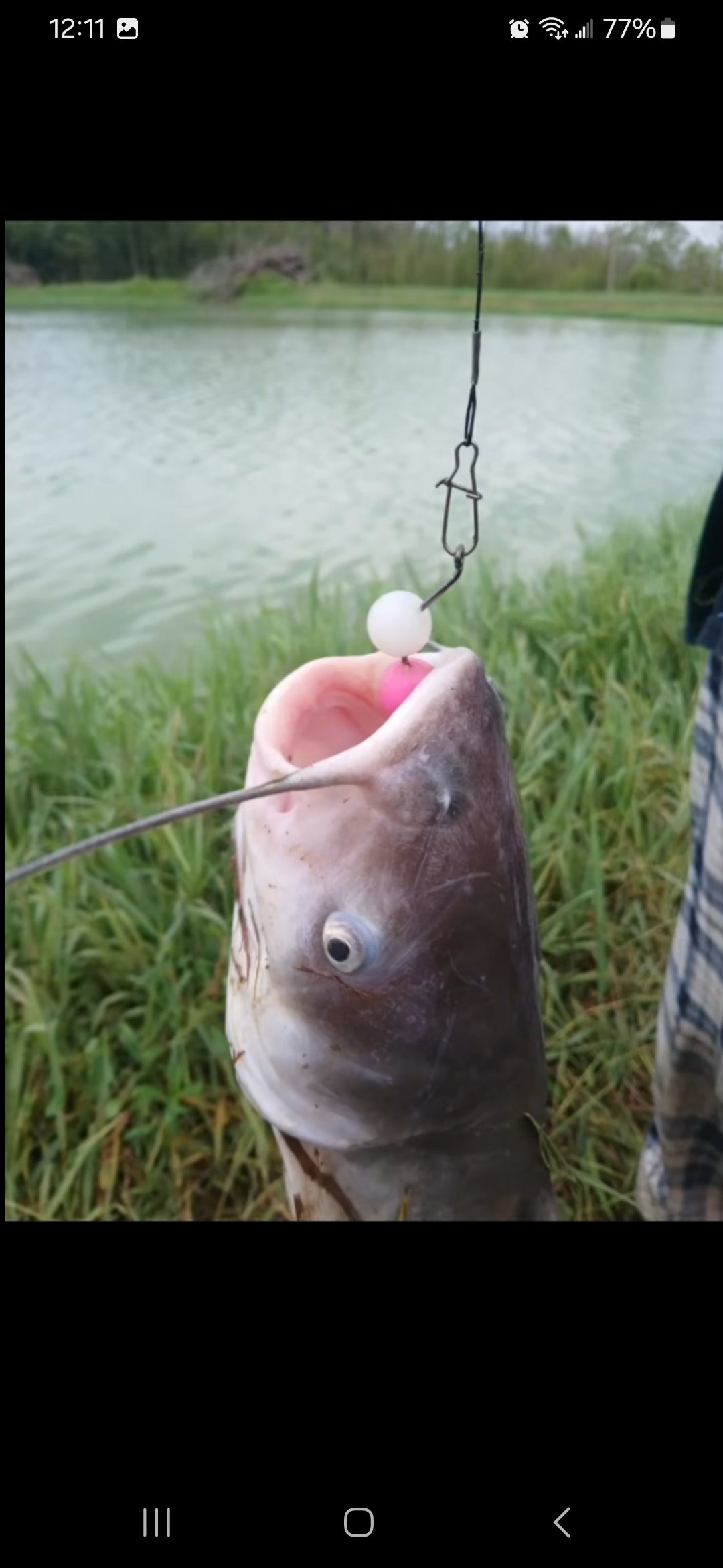 Monkey Balls! Lures - Texas Made Silicone Sinking Lures