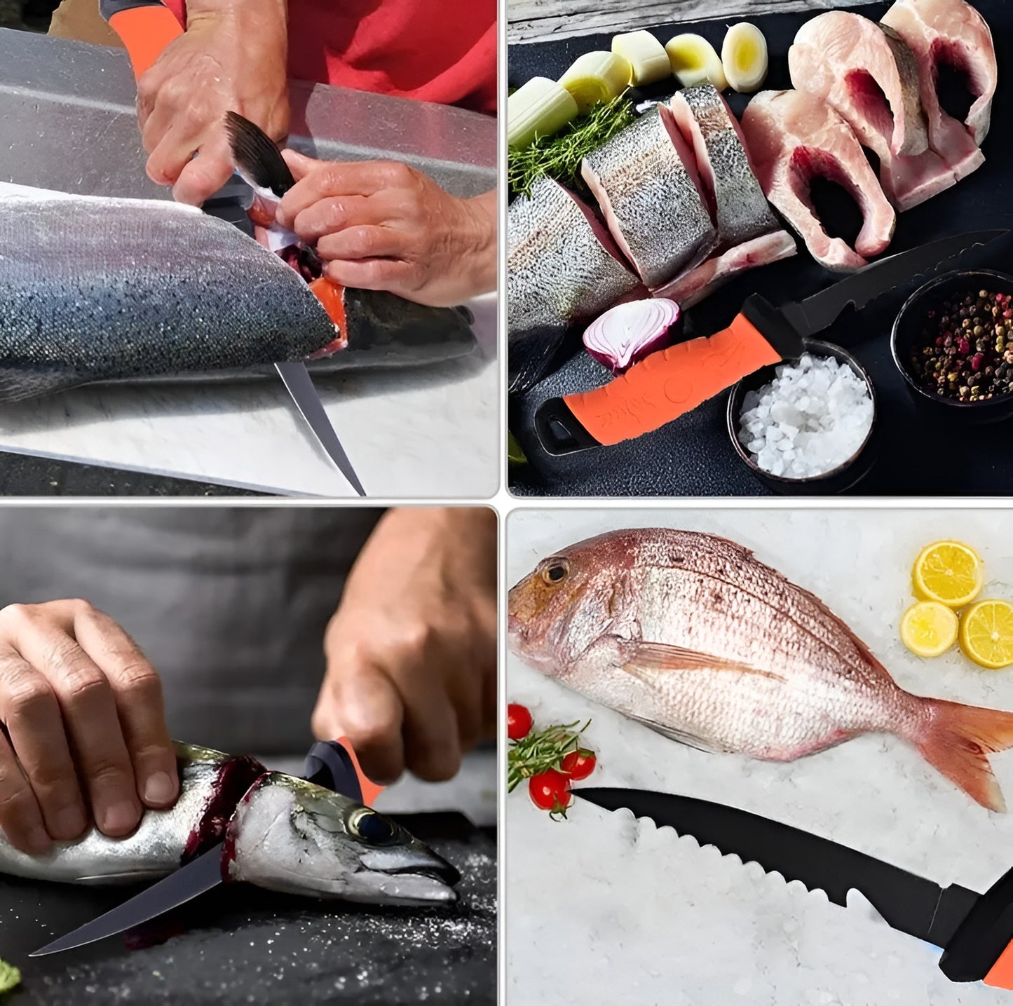 Professional Grade Fishing Filet Knife - Stainless Steel - Multiple Sizes - Soft Grip