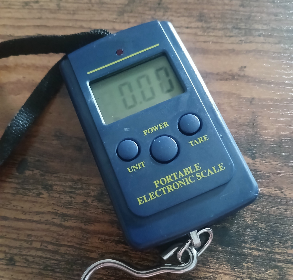 100lb Digital Fishing Scale