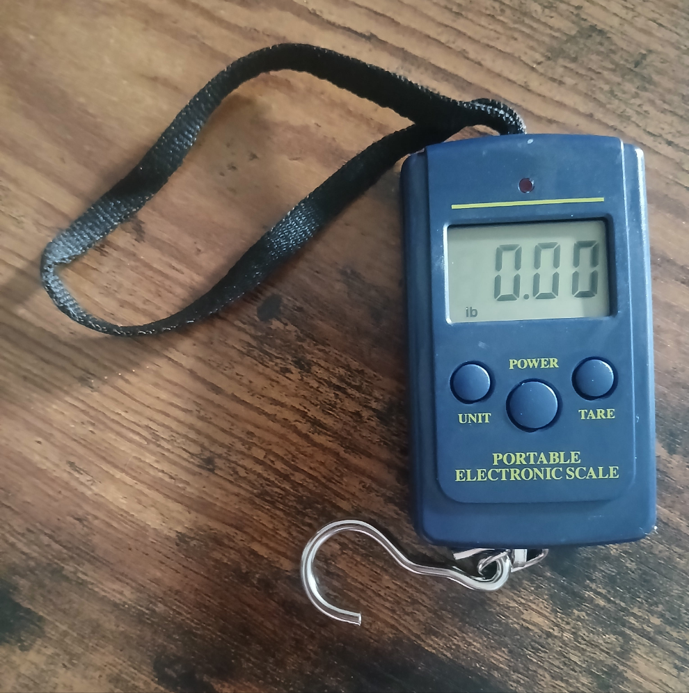 100lb Digital Fishing Scale