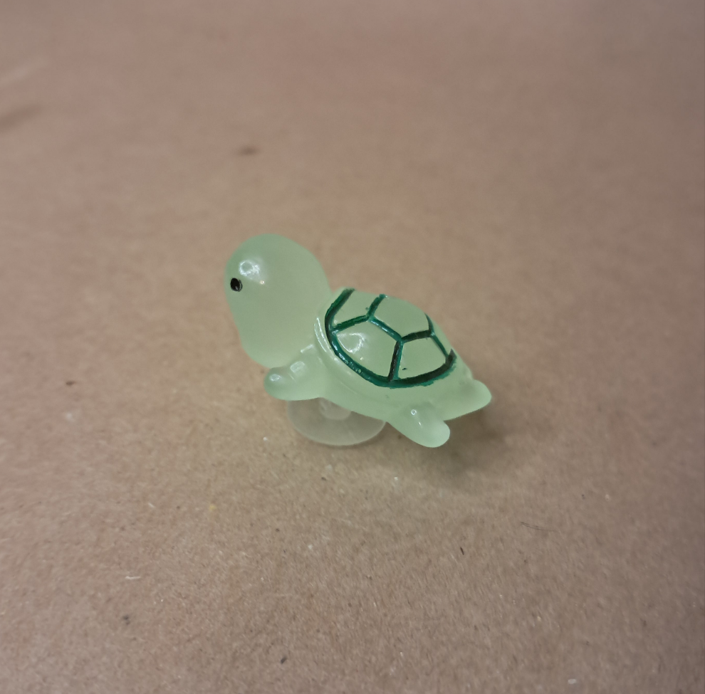 2-Pack Cute Turtle Shoe Charms