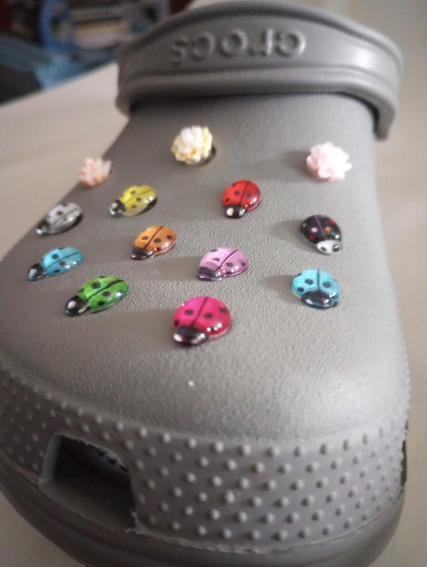 Lady Bug Shoe Charm