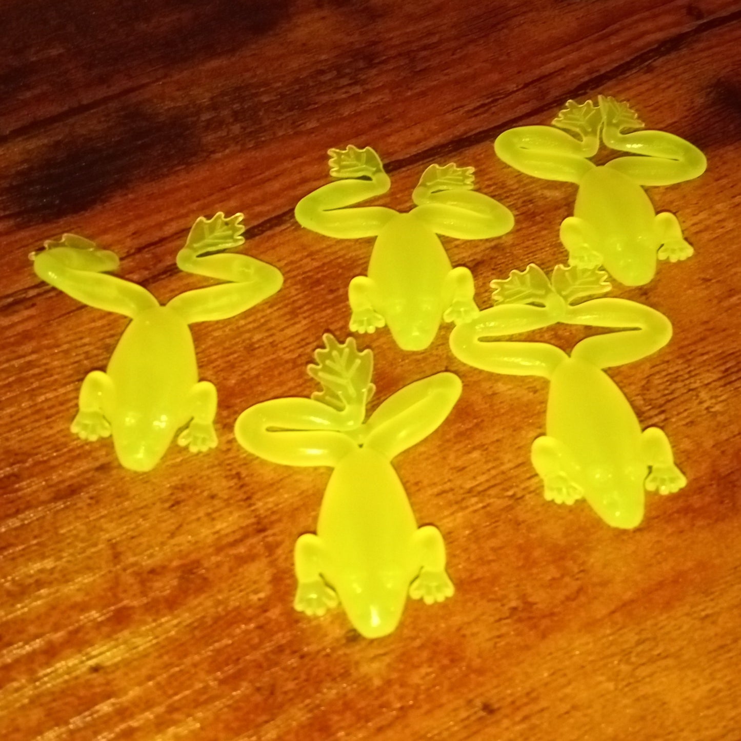 5 Pack Lucky Frogs