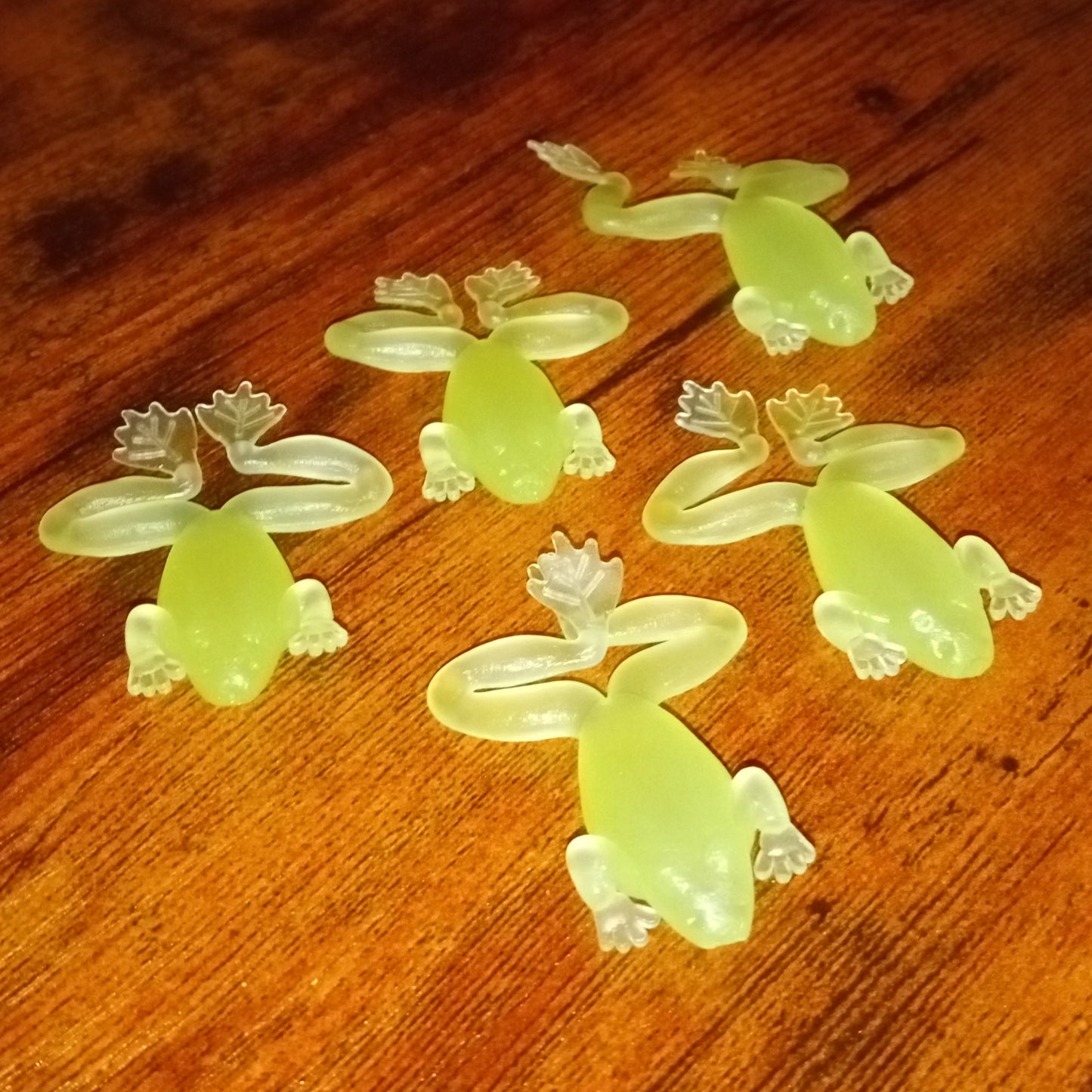 5 Pack Lucky Frogs