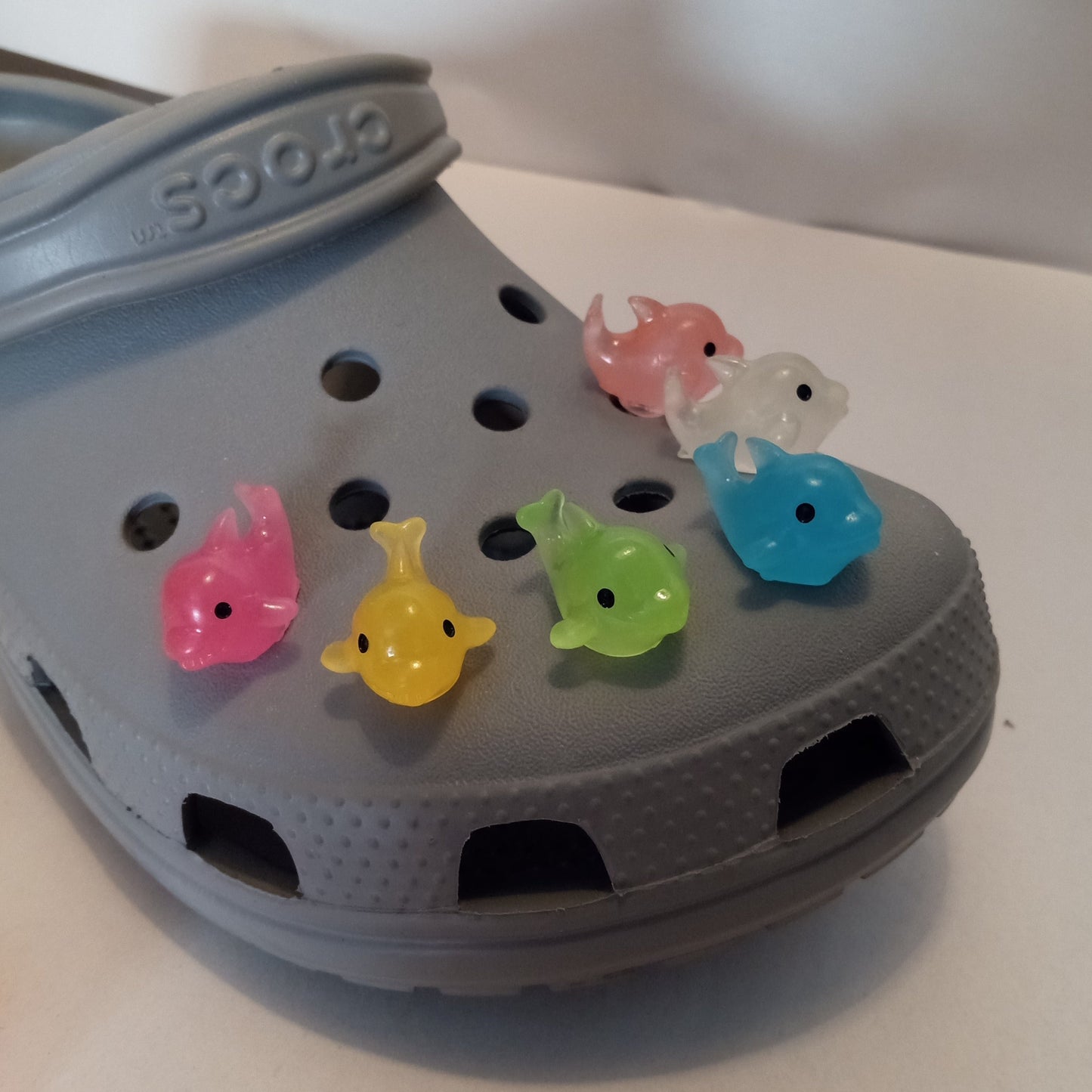 Dolphin Shoe Charm