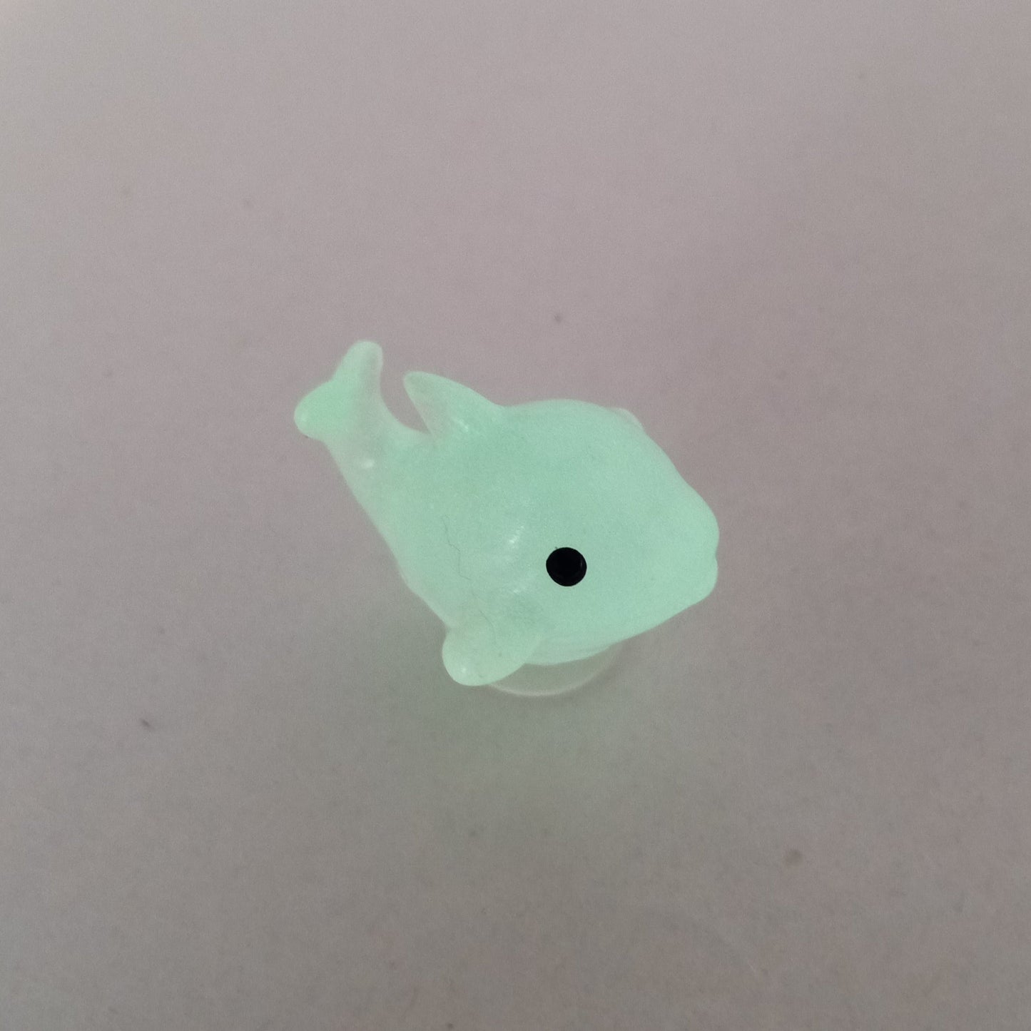 Dolphin Shoe Charm
