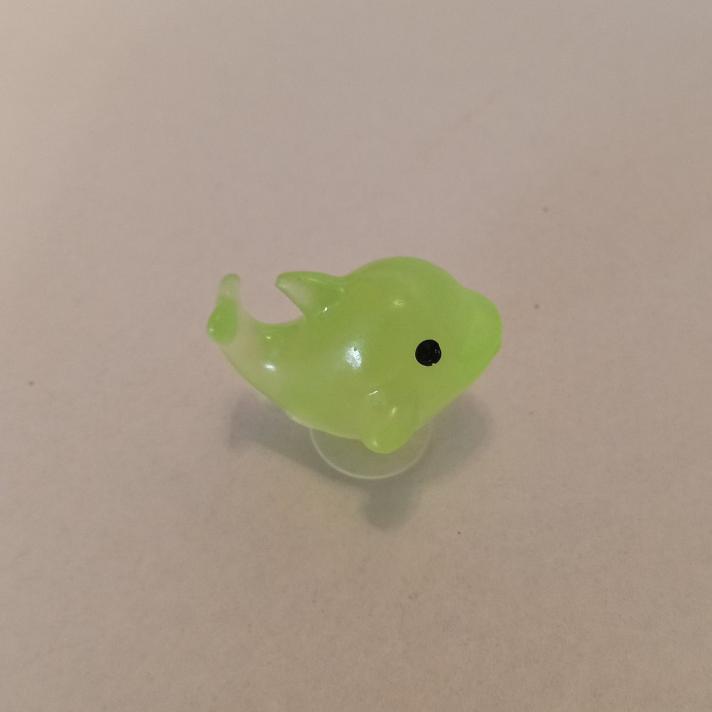 Dolphin Shoe Charm