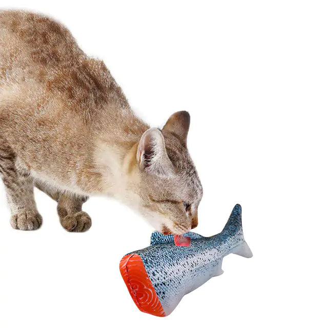 Fish Shape Pet Toy